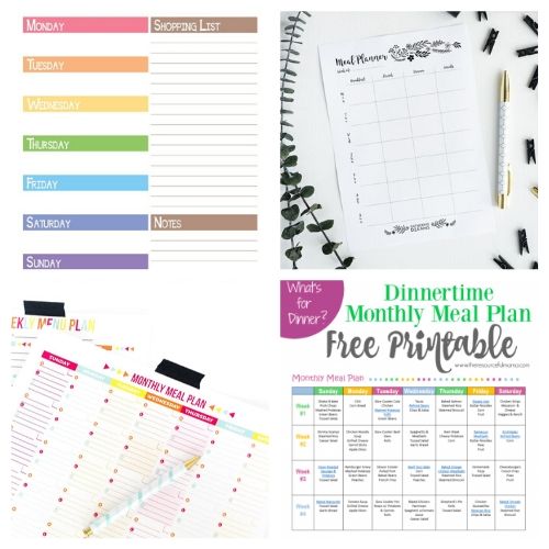 20 Free Printable Menu Planners- These free printable meal planners will save you time, energy, and money! Once you get used to meal planning you will never go back! | recipe binder templates, kitchen printables, meal prep, food prep, #mealPlanner #mealPlanning #freePrintables #menuPlanner #ACultivatedNest