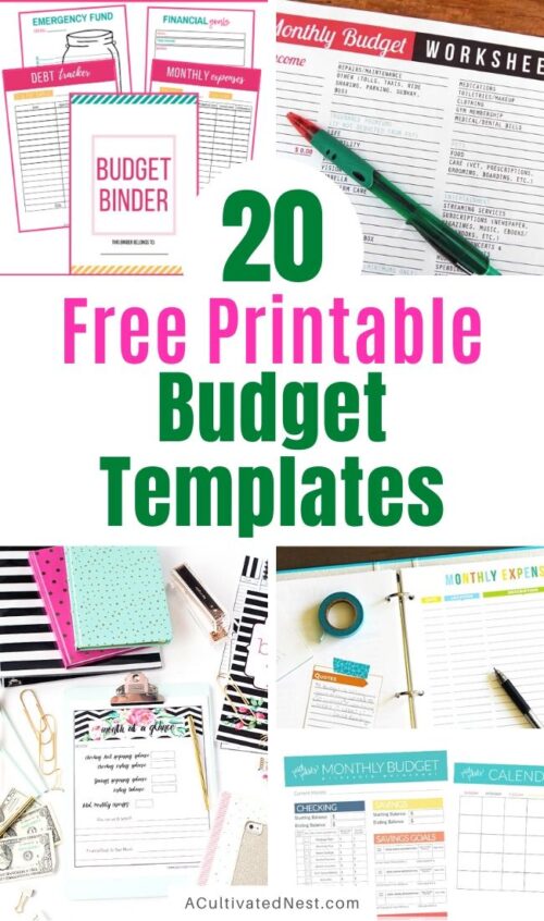 20 Free Budgeting Printables Inspired by Dave Ramsey- A Cultivated Nest