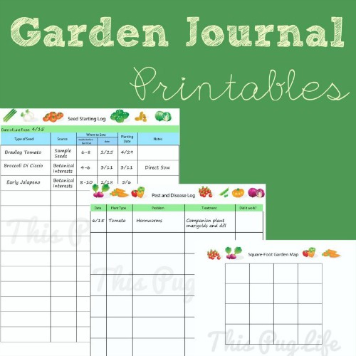 10 Garden Journal Free Printables- These free printable garden planners will help you plan your best garden ever! Whether you're growing vegetables or flowers, they're sure to help! | #gardening #gardenPlanner #gardeningTips #vegetableGarden #ACultivatedNest