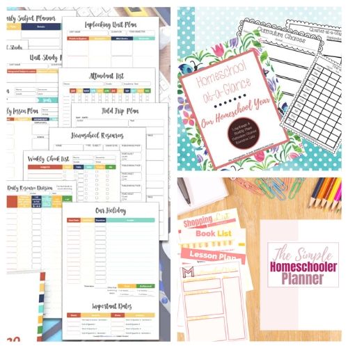 Easy Homeschool Organization Ideas + Free Homeschool Planner