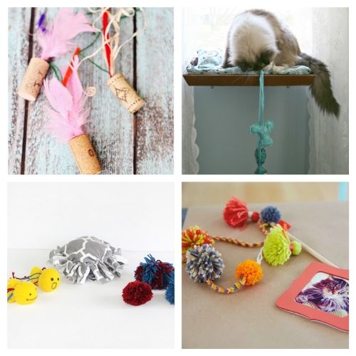 20 fun DIY cat toys that kitties can't resist