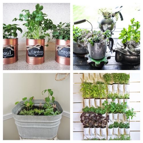 indoor herb garden ideas