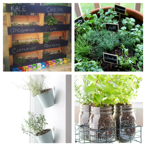 20 DIY Indoor and Outdoor Herb Garden Ideas- You'll always have fresh herbs on hand when you make any of these DIY herb garden ideas! They are so easy to make and add style to your space! | indoor herb garden, outdoor herb garden, #herbGarden #gardening #DIY #indoorGardening #ACultivatedNest
