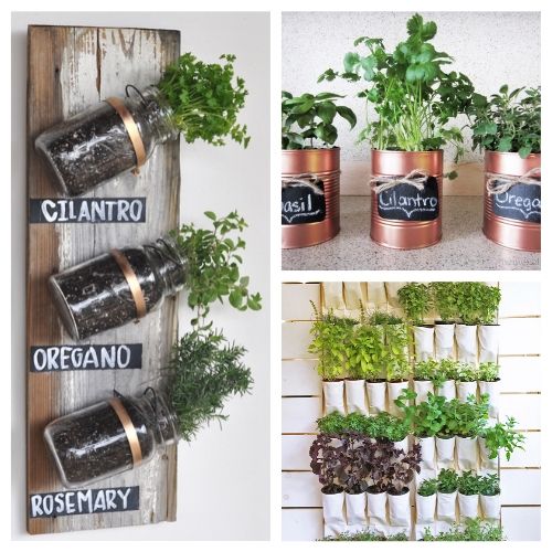 20 Easy DIY Herb Garden Ideas- You'll always have fresh herbs on hand when you make any of these DIY herb garden ideas! They are so easy to make and add style to your space! | indoor herb garden, outdoor herb garden, #herbGarden #gardening #DIY #indoorGardening #ACultivatedNest