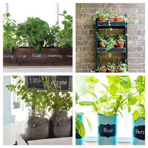 20 Easy Herb Garden Ideas- You'll always have fresh herbs on hand when you make any of these DIY herb garden ideas! They are so easy to make and add style to your space! | indoor herb garden, outdoor herb garden, #herbGarden #gardening #DIY #indoorGardening #ACultivatedNest