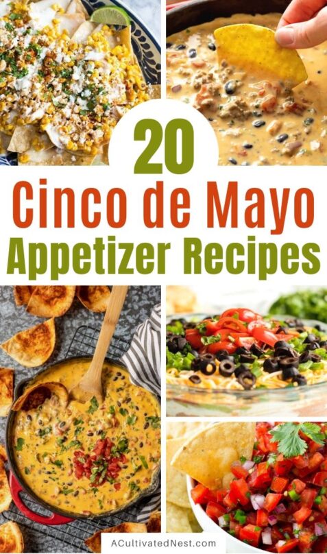 20 Cinco de Mayo Appetizer Recipes- A Cultivated Nest