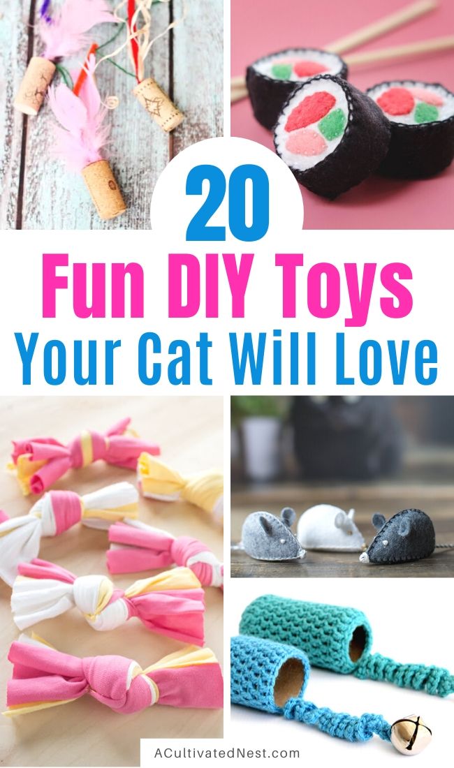 20 Fun DIY Cat Toys