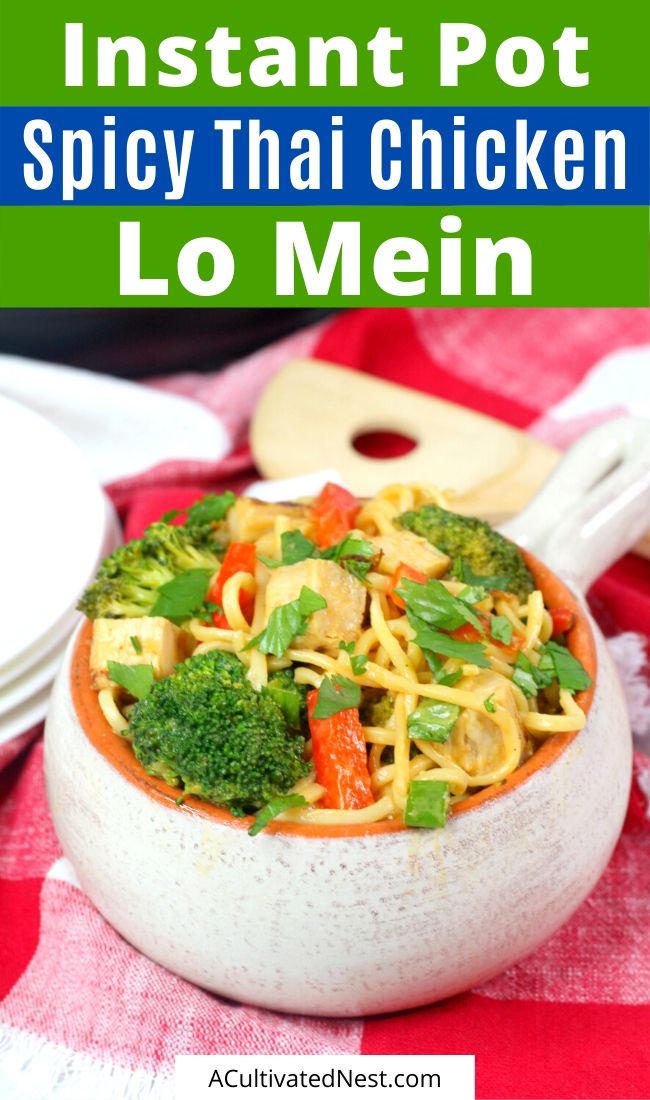 Instant Pot Spicy Thai Chicken Lo Mein- If you want an easy and delicious dinner recipe, you have to try this Instant Pot spicy Thai chicken lo mein! It's so much better than take out! | #dinnerRecipes #chickenRecipes #instantPot #loMein #ACultivatedNest