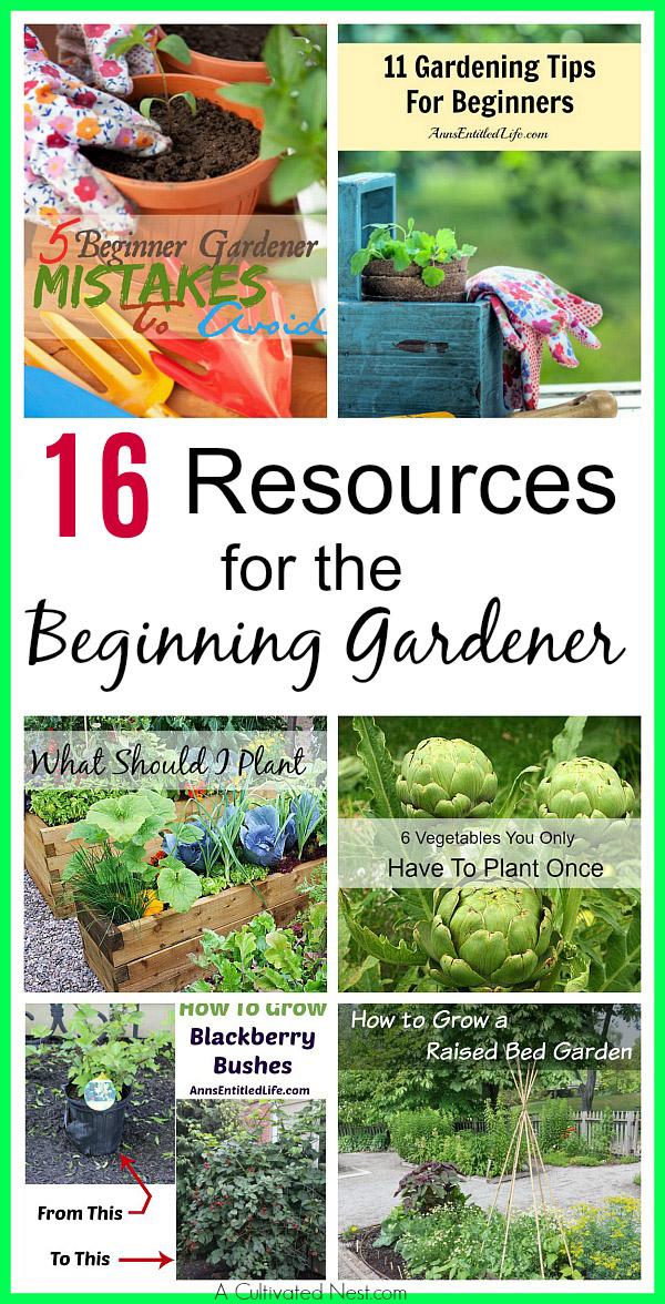 16 Resources for the Beginner Gardener