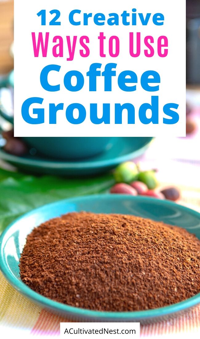 12 Creative Ways to Use Coffee Grounds- Instead of throwing them out, check out these creative ways to use coffee grounds! Coffee grounds can be so helpful in your home and garden! | what to do with coffee grounds, #upcycling #repurpose #moneySavingTips #coffee #ACultivatedNest