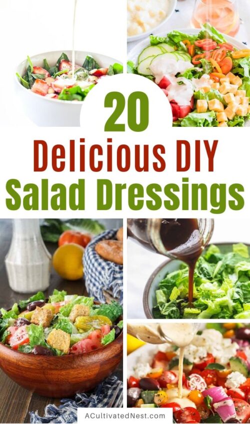 20 Drool-Worthy Homemade Salad Dressings- A Cultivated Nest