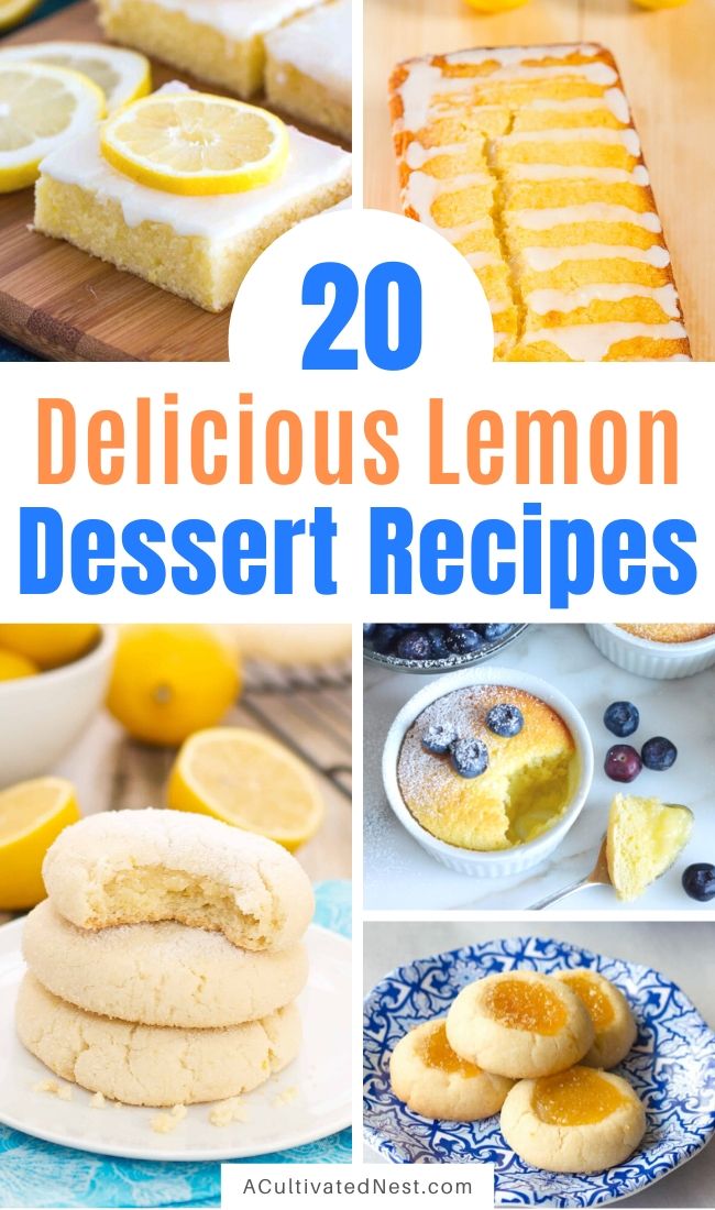 20 Incredible Lemon Dessert Recipes- If you want to bake a treat to brighten someone's day, then you need to check out these delicious lemon dessert recipes! They're all so tasty, and smell so good! | summer lemon recipes, citrus recipes, citrus desserts, #lemon #recipe #baking #dessertRecipe #ACultivatedNest