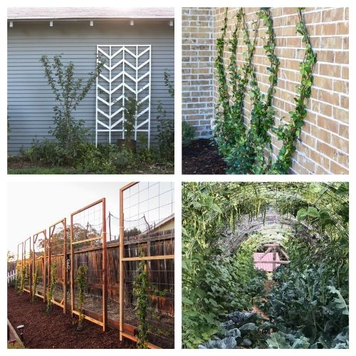 20 Gorgeous Garden DIY Trellises- Add some charm and character to your yard with these gorgeous DIY garden trellises! They're functional and a lovely way to decorate your garden! | #DIY #garden #trellis #gardenDIY #ACultivatedNest