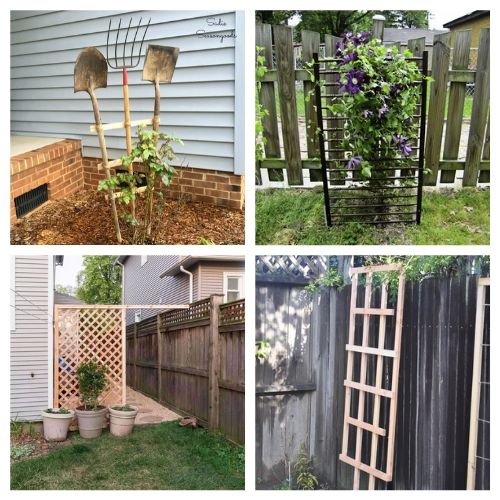 20 Gorgeous DIY Trellis Designs- Add some charm and character to your yard with these gorgeous DIY garden trellises! They're functional and a lovely way to decorate your garden! | #DIY #garden #trellis #gardenDIY #ACultivatedNest