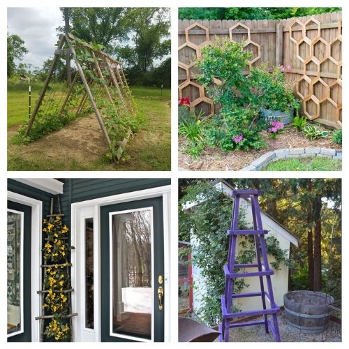 20 Gorgeous Trellis DIY Designs- Add some charm and character to your yard with these gorgeous DIY garden trellises! They're functional and a lovely way to decorate your garden! | #DIY #garden #trellis #gardenDIY #ACultivatedNest