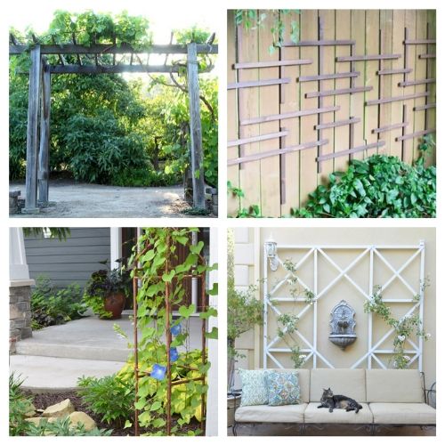 20 Gorgeous Garden Trellis DIYs- Add some charm and character to your yard with these gorgeous DIY garden trellises! They're functional and a lovely way to decorate your garden! | #DIY #garden #trellis #gardenDIY #ACultivatedNest