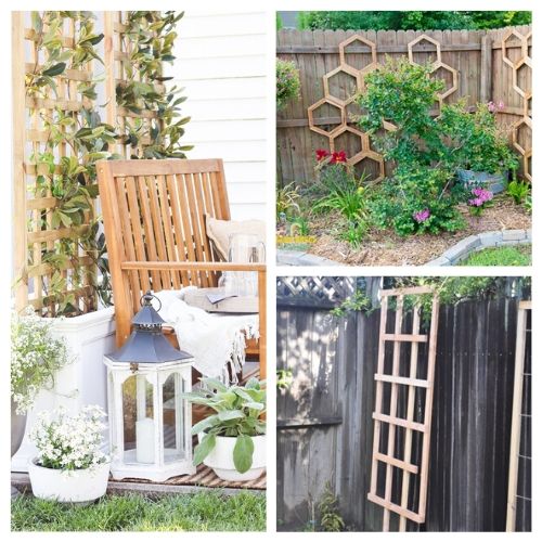 20 Gorgeous DIY Garden Trellises- Add some charm and character to your yard with these gorgeous DIY garden trellises! They're functional and a lovely way to decorate your garden! | #DIY #garden #trellis #gardenDIY #ACultivatedNest