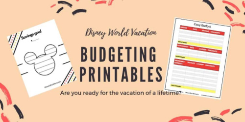 Disney World Budget Planning- These fabulous free printable savings trackers will help you get your finances in order and ready for whatever you are saving for! | #savingsTracker #saveMoney #moneySavingTips #freePrintables #ACultivatedNest