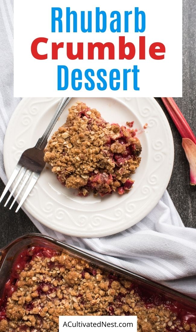 Delicious Rhubarb Crumble Recipe- If you want an absolutely delicious spicy sweet dessert to try, then you have to make this wonderful rhubarb crumble recipe! With every bite there is an explosion of delicious goodness that hits your tongue! | #dessertRecipes #recipe #dessert #baking #ACultivatedNest