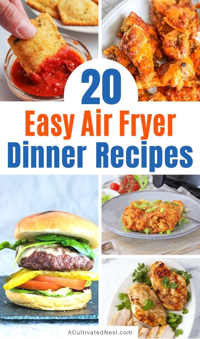 20 Easy Air Fryer Dinner Recipes- A Cultivated Nest