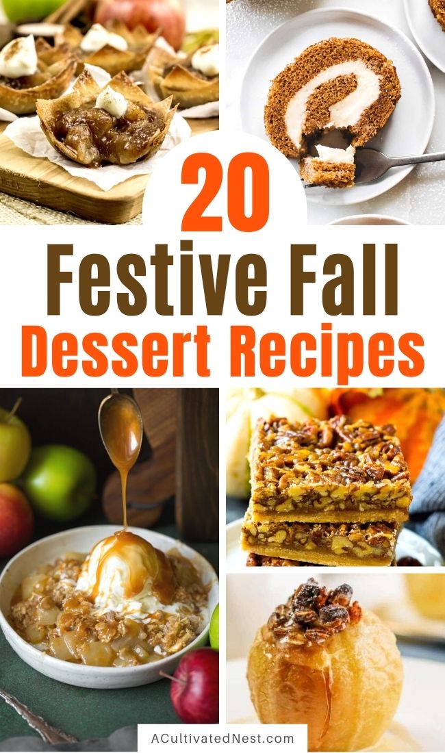 20 Festive Fall Dessert Recipes- Make your fall extra delicious with these drool-worthy festive fall dessert recipes! They all taste delicious, and are so easy to make! | fall pumpkin dessert recipes, fall food, #recipe #desserts #fallRecipe #recipes #ACultivatedNest