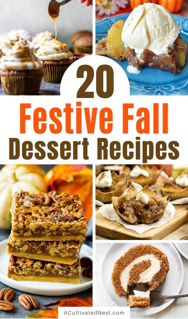 20 Festive Fall Dessert Recipes