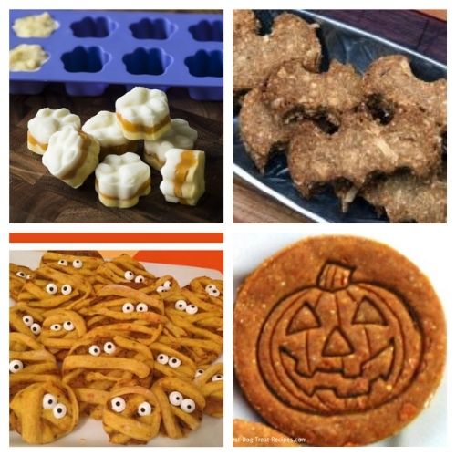 20 Fall Dog Treat Recipes- Your pooch is going to love you when you give him any of these homemade fall dog treats! They are super easy to make! | homemade Halloween dog treats, #dogTreats #homemadeDogTreats #petTreats #diyDogTreats #ACultivatedNest