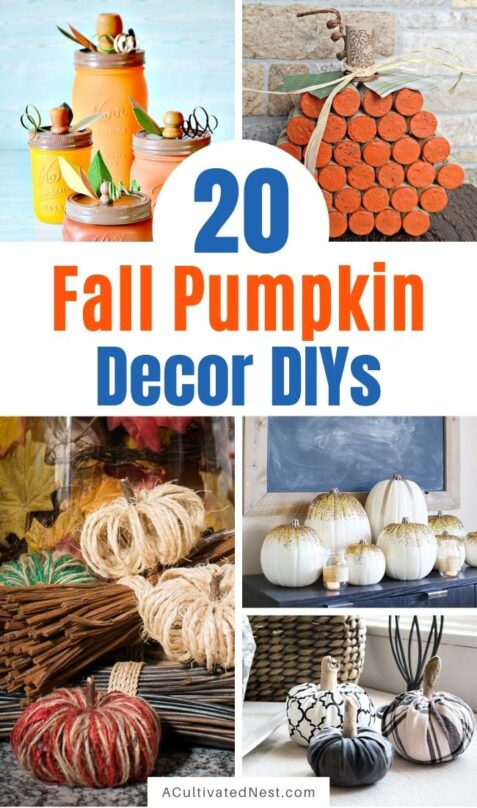 20 Beautiful Fall Pumpkin Decor DIYs- A Cultivated Nest