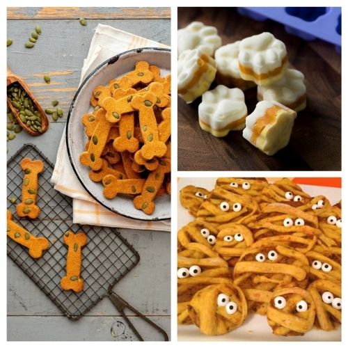 20 Homemade Fall Dog Treats- Your pooch is going to love you when you give him any of these homemade fall dog treats! They are super easy to make! | homemade Halloween dog treats, #dogTreats #homemadeDogTreats #petTreats #diyDogTreats #ACultivatedNest