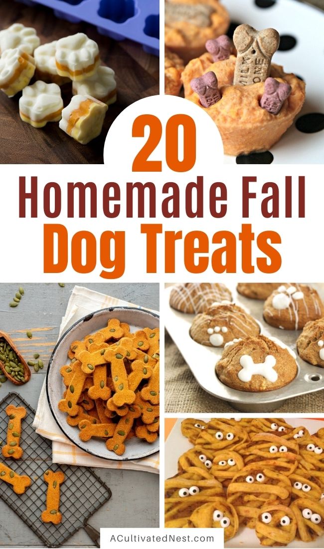 20 Homemade Fall Dog Treats- Your furbaby will love these homemade fall dog treats! There are so many tasty and easy DIY dog treats you can make for fall and Halloween! | #homemadeDogTreats #dogTreats #dogTreatRecipes #diyDogTreats #ACultivatedNest