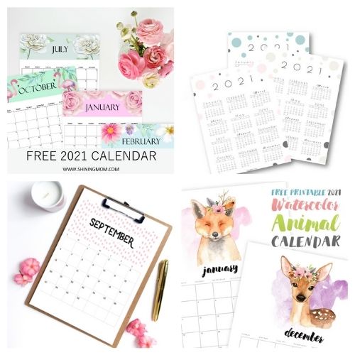 20 Free 2021 Calendars Printables- These lovely free printable 2021 calendars are just what you need! They are perfect for your home office or planning your schedule. | #freePrintables #printables #calendars #2021Calendars #ACultivatedNest