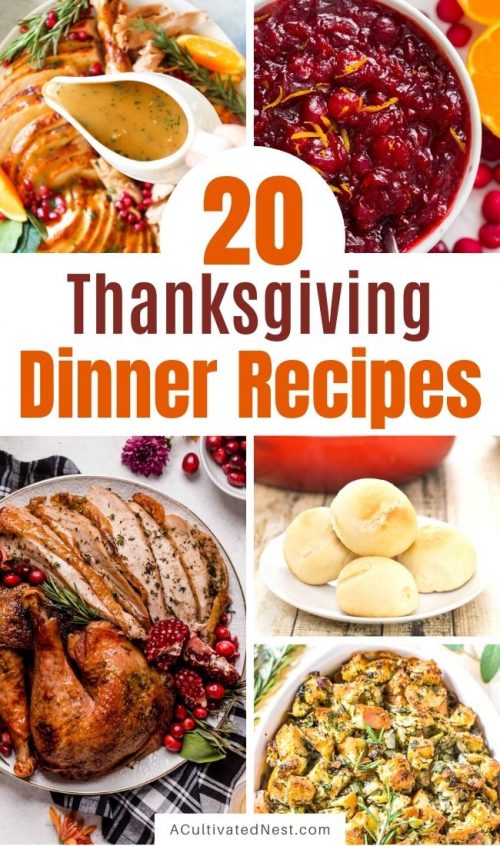 20 Traditional Thanksgiving Dinner Recipes- A Cultivated Nest