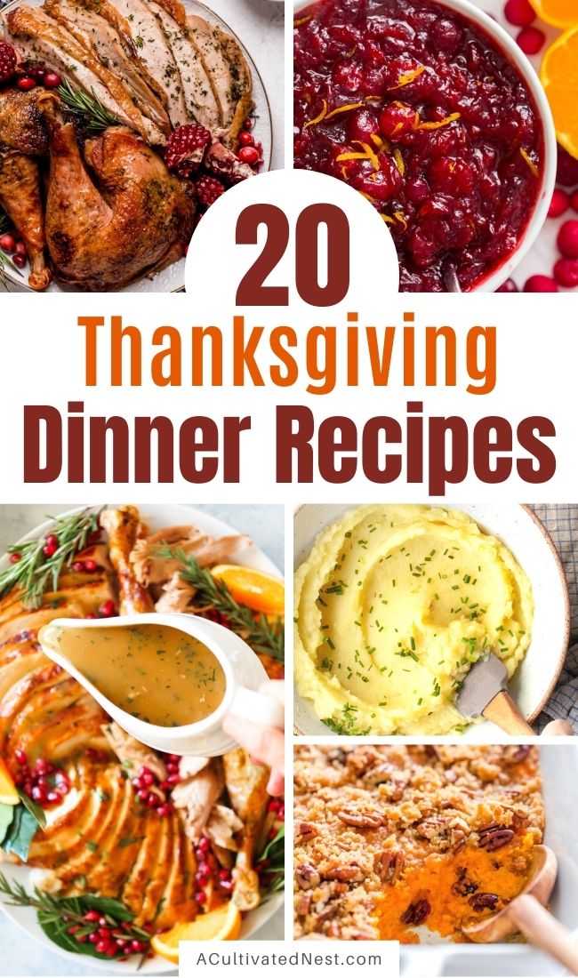 20 Traditional Thanksgiving Dinner Recipes