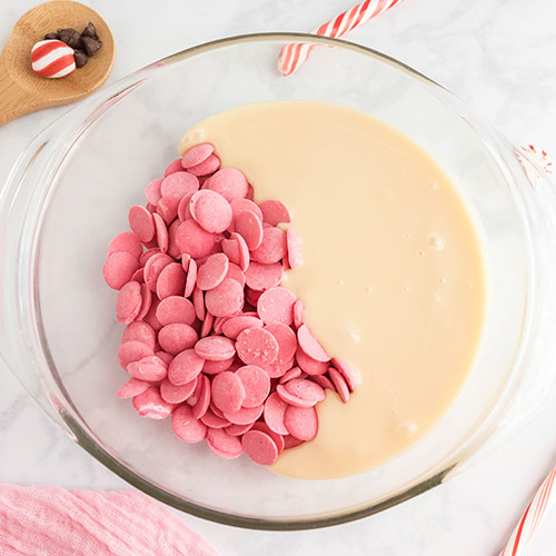 Delicious Peppermint Holiday Fudge- For a special treat this holiday season, you have to make this delicious homemade peppermint fudge! It also makes a great DIY food gift! | homemade food gift, Christmas dessert ideas, homemade fudge recipe, #fudge #dessert #dessertRecipes #peppermintRecipes #ACultivatedNest