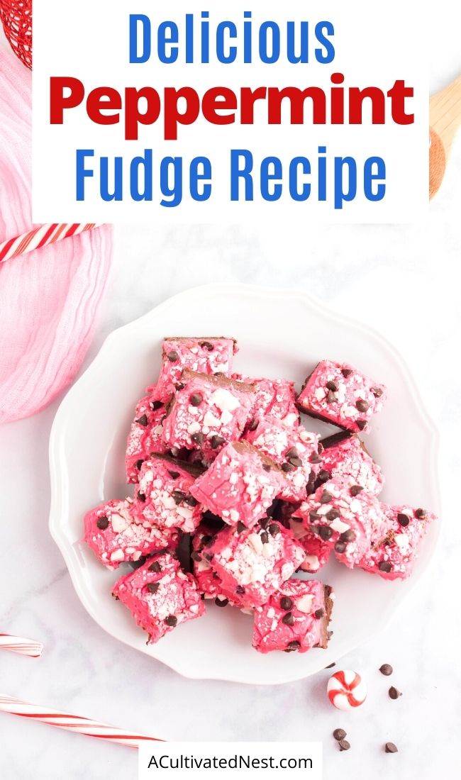 Delicious Homemade Peppermint Fudge- The delicious combo of peppermint and chocolate in this homemade peppermint fudge is sure to make it a family favorite! It also is a lovely homemade food gift! | homemade food gift, Christmas dessert ideas, homemade fudge recipe, #ChristmasRecipes #desserts #recipes #chocolateRecipes #ACultivatedNest