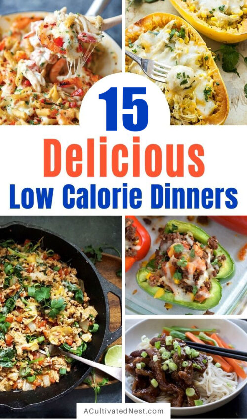 15 Delicious Low-Calorie Dinner Recipes- Healthy + Full of Flavor