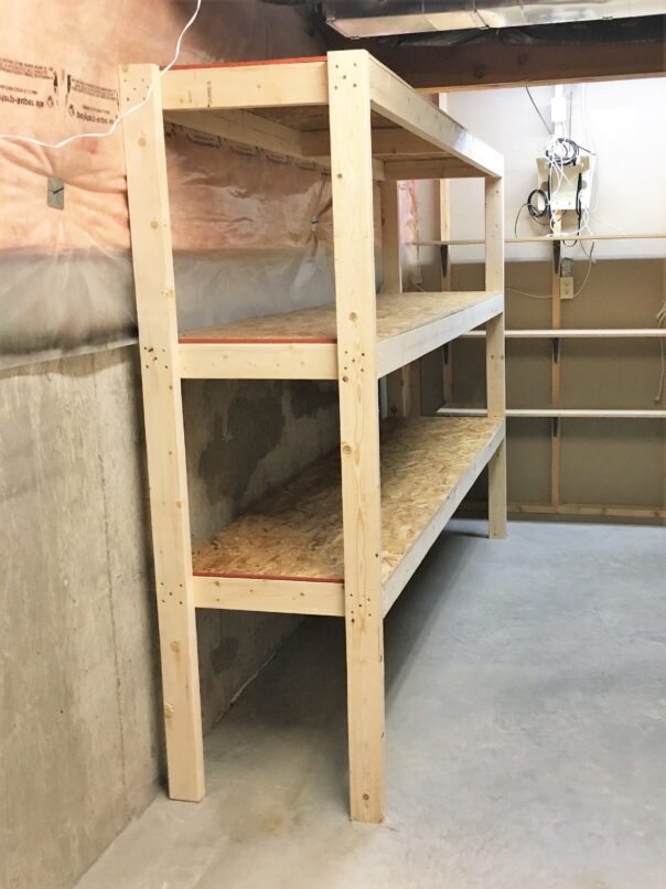 Basement Organization With Step By Step Instructions