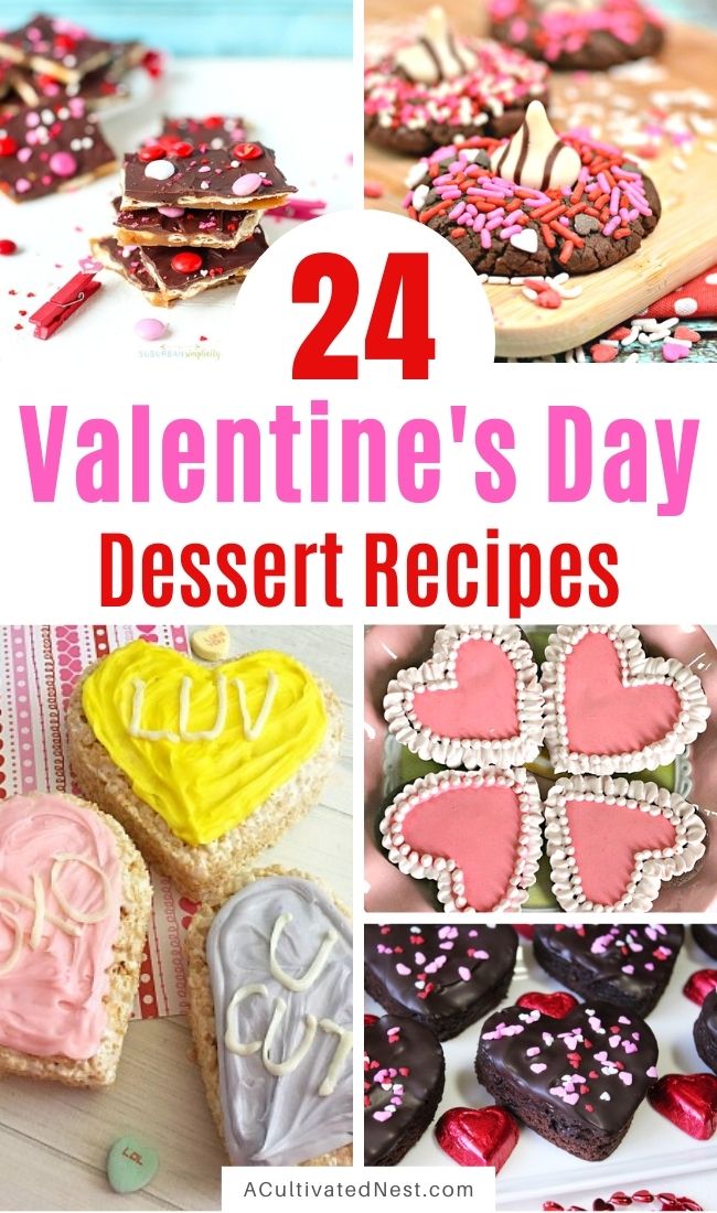 24 Valentine's Day Dessert Recipes- Make your Valentine's Day extra special this year with these delicious Valentine's Day dessert recipes! There are so many cute (and tasty) foods you can make for Valentine's Day! | #ValentinesDay #ValentinesDayRecipes #dessertRecipes #dessertIdeas #ACultivatedNest