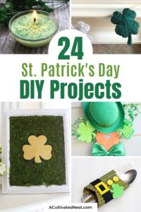 24 Fun St. Patrick's Day Crafts for Adults and Kids- A Cultivated Nest