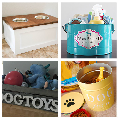 Pet Storage and Organization Ideas