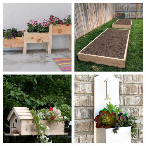 How to Garden in Planter Boxes: A Swansons Nursery and Dunn DIY