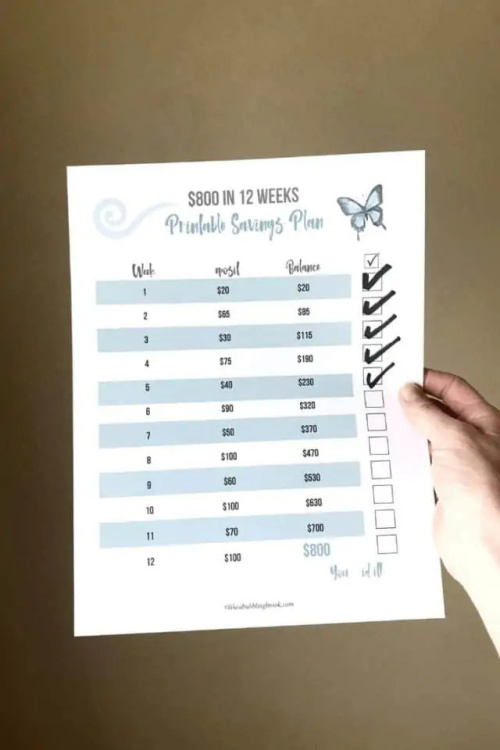 10 Free Printables for Budgeting Inspired by Dave Ramsey- These 10 free budgeting printables inspired by Dave Ramsey are great ways to easily get your finances in order and save money! | #freePrintables #daveRamsey #budgeting #frugalLiving #ACultivatedNest