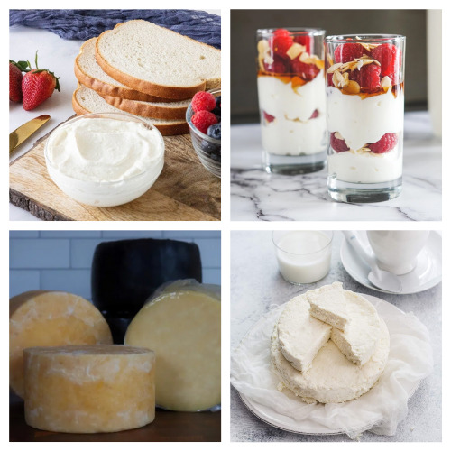 16 Delicious Homemade Dairy Products- If you want to save money and know what's in your food, then you'll love these homemade dairy products! They are simple, delicious, and frugal recipes that the whole family will enjoy! | homemade butter, #homemade #dairyProducts #recipes #homemadeCheese #ACultivatedNest