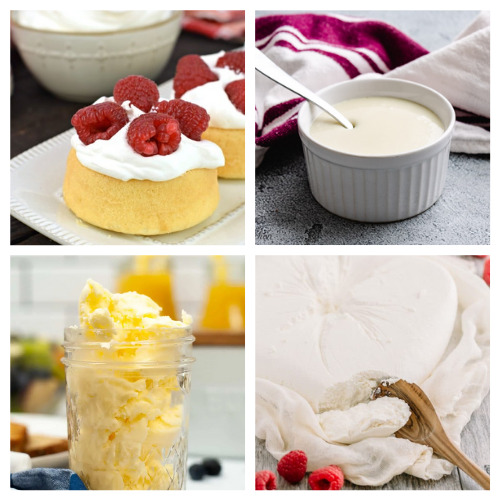 16 Delicious Dairy Product Recipes- If you want to save money and know what's in your food, then you'll love these homemade dairy products! They are simple, delicious, and frugal recipes that the whole family will enjoy! | homemade butter, #homemade #dairyProducts #recipes #homemadeCheese #ACultivatedNest