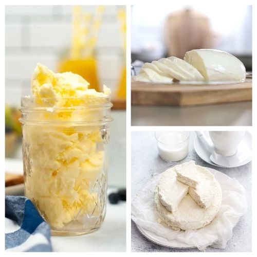 16 Delicious Homemade Dairy Products- If you want to save money and know what's in your food, then you'll love these homemade dairy products! They are simple, delicious, and frugal recipes that the whole family will enjoy! | homemade butter, #homemade #dairyProducts #recipes #homemadeCheese #ACultivatedNest