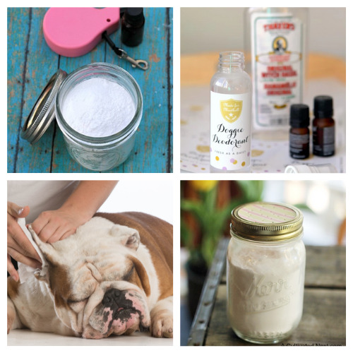 12 DIY Dog Grooming Products A Cultivated Nest