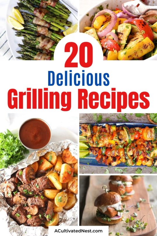 20 Delicious Grilling Recipes- Tasty Summer Recipes- A Cultivated Nest