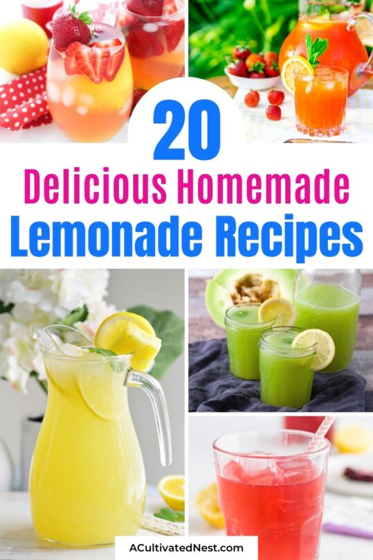 20 Delicious Homemade Lemonade Recipes- A Cultivated Nest