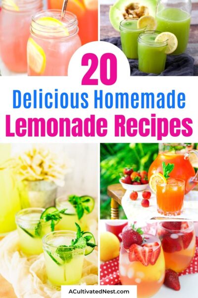 20 Homemade Fruit Drink Recipes- A Cultivated Nest