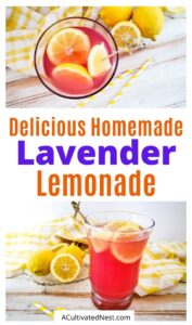 Easy Homemade Lavender Lemonade- A Cultivated Nest